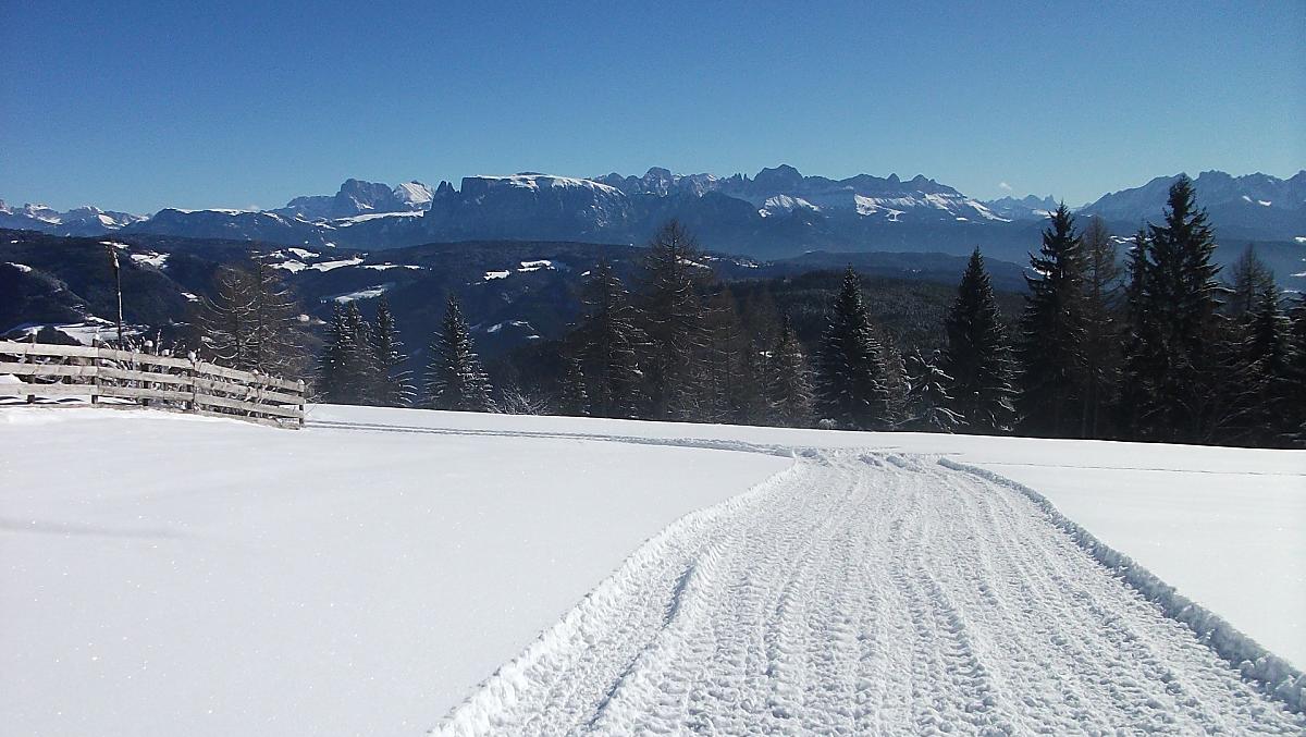 Naše sánkarská dráha vedle domu s nádherným výhledem na hory Schlern, Langkofel, Plattkofel, Rosengarten a Latemar.