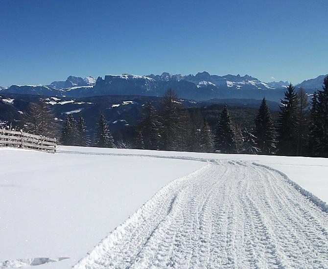 Naše sánkarská dráha vedle domu s nádherným výhledem na hory Schlern, Langkofel, Plattkofel, Rosengarten a Latemar.