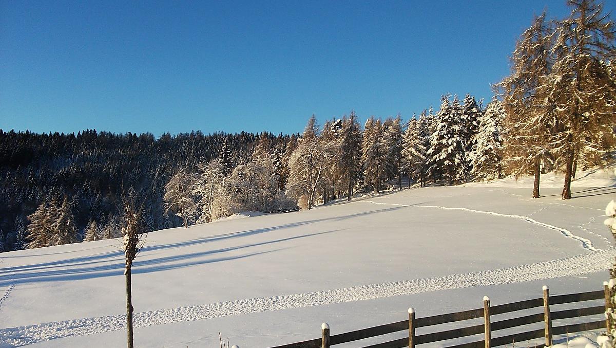Naší loukou vede cesta na Salten – ideální se snežnicemi