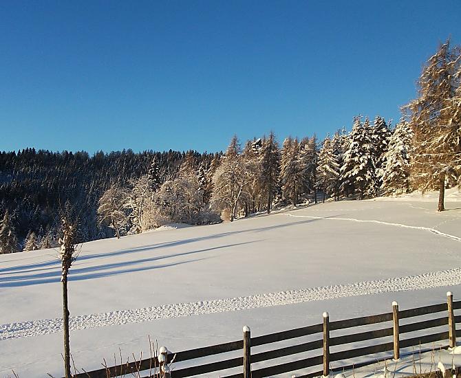 Naší loukou vede cesta na Salten – ideální se snežnicemi