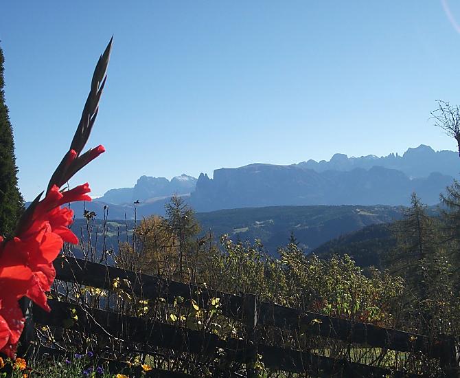 Mecíky v zahrade statku s výhledem na krásné Dolomity (Schlern, Sellastock, Langkofel, Plattkofel, Rosengarten atd.).