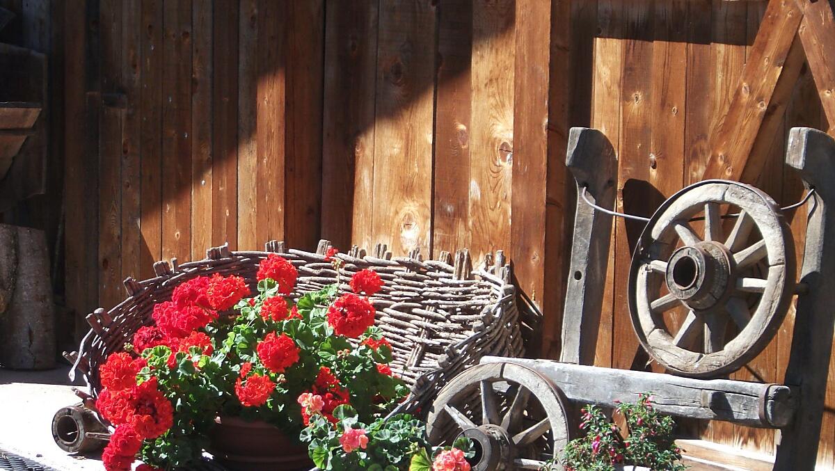 Muškát pred domem se starým zemedelským náradím