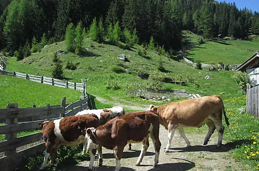 Streckerhof - Seznam Photo