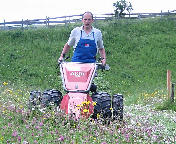 Hospodár Thomas sece