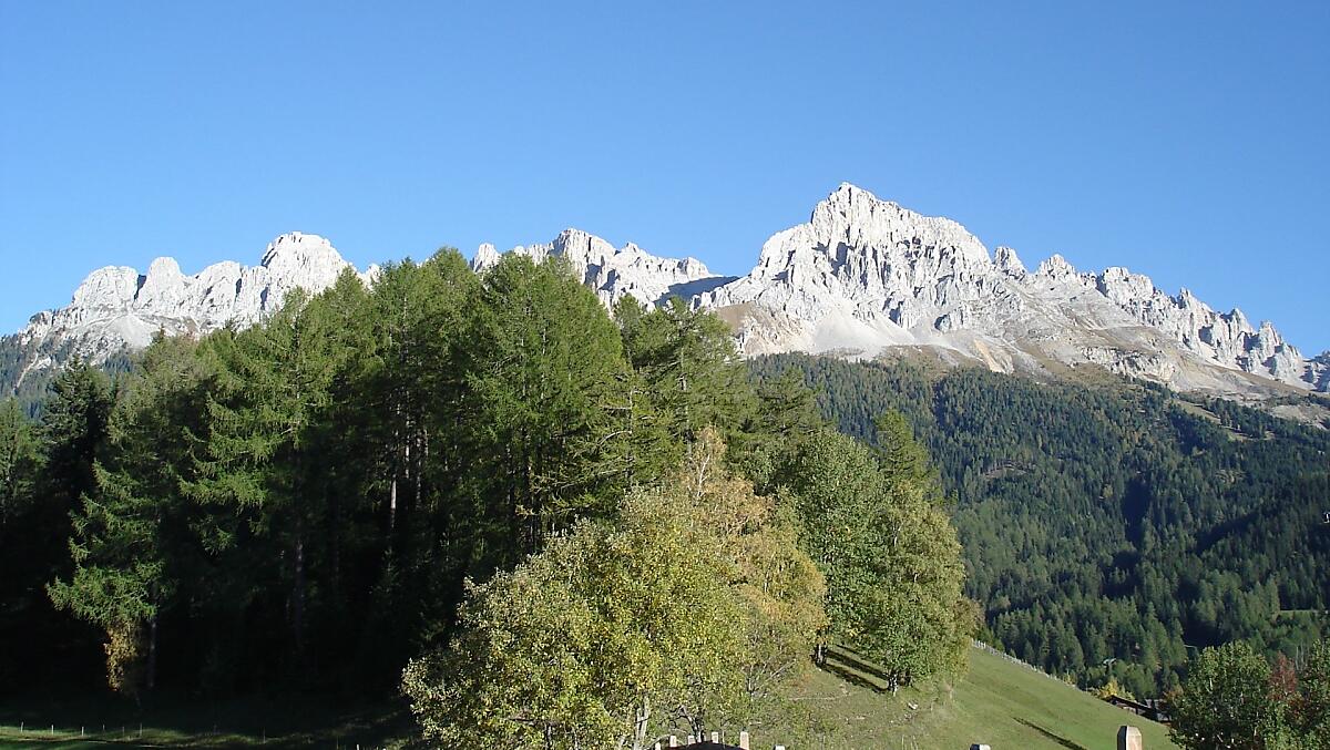 Sveží louky a lesy obklopující Stuppnerhof