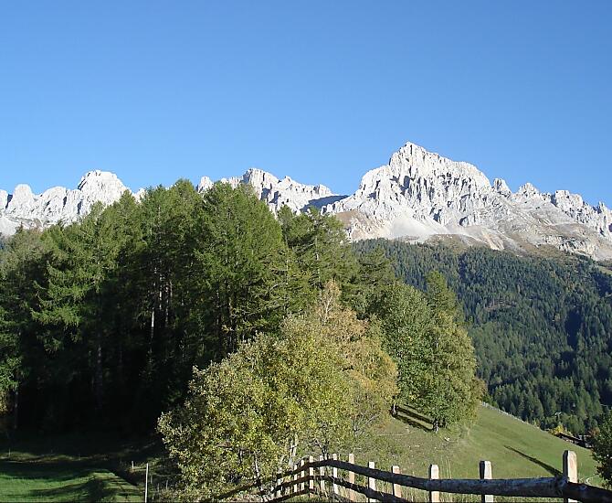 Sveží louky a lesy obklopující Stuppnerhof