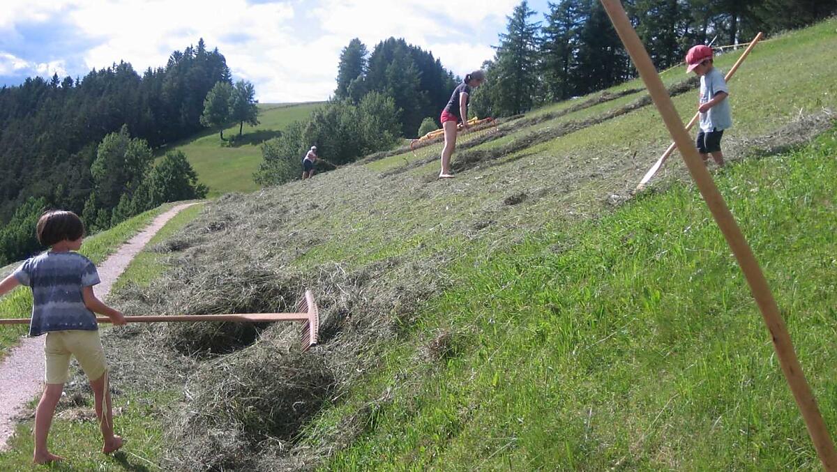 Pri práci se senem je treba mnoha pracovitých rukou
