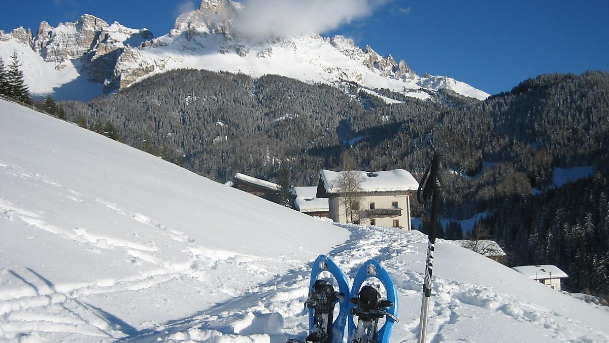 Stuppnerhof - Fotogalerie Photo