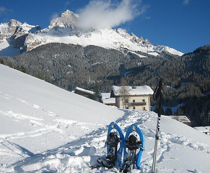 Stuppnerhof - Fotogalerie Photo