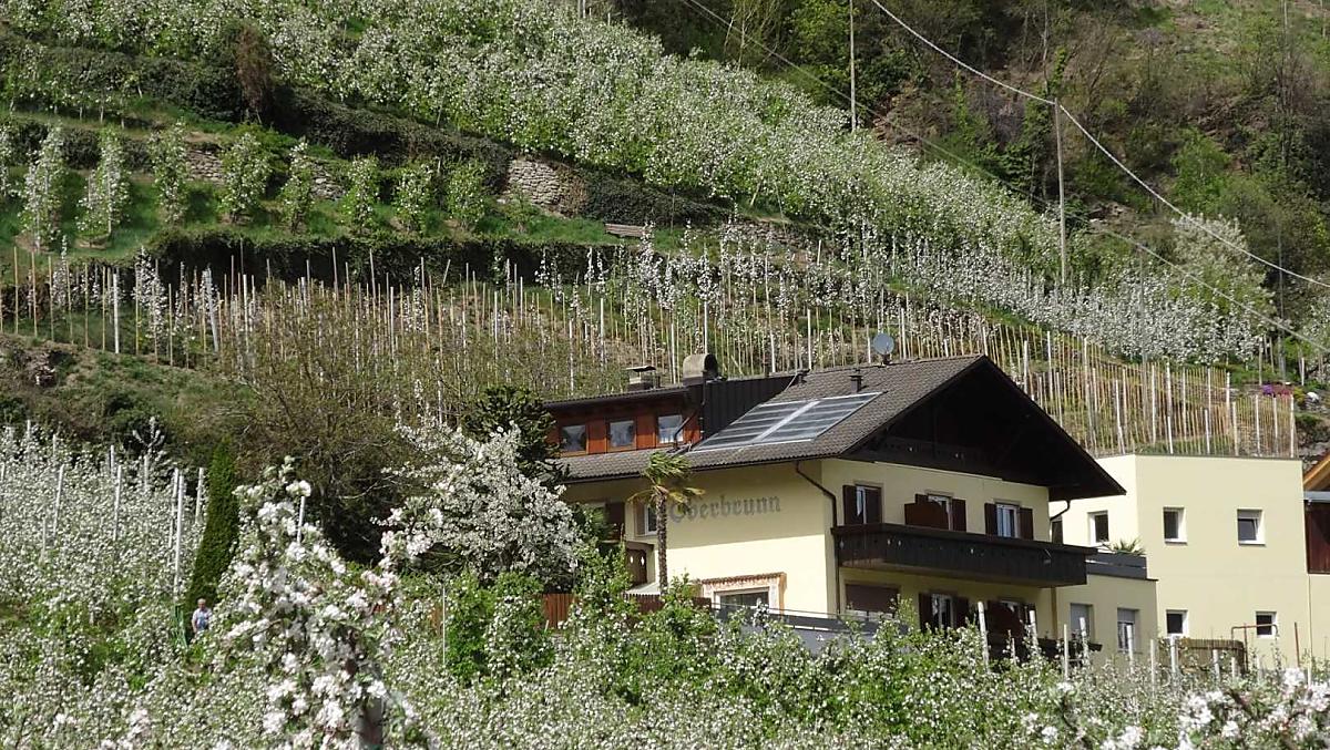 Oberbrunn-Hof - Fotogalerie Photo