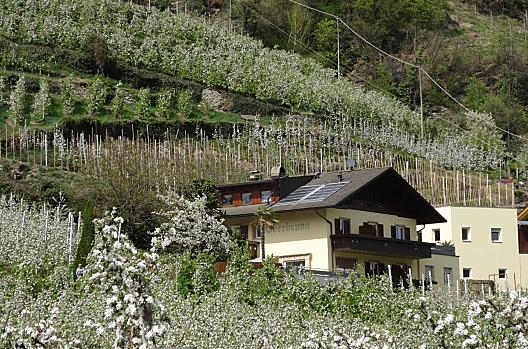 Oberbrunn-Hof - Seznam Photo