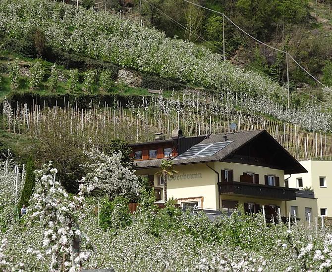 Oberbrunn-Hof - Fotogalerie Photo