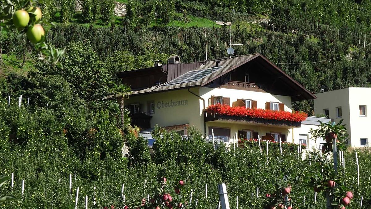 Oberbrunn-Hof - Fotogalerie Photo