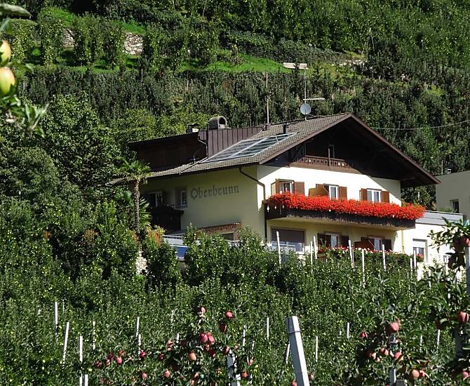 Oberbrunn-Hof - Fotogalerie Photo