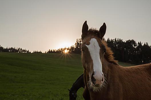Bauernhof Oberlanzin - Seznam Photo