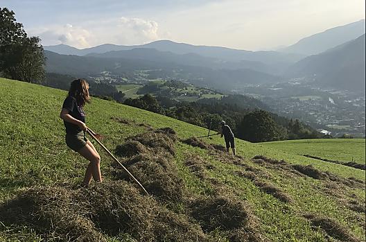 Scheiterhuber - Seznam Photo