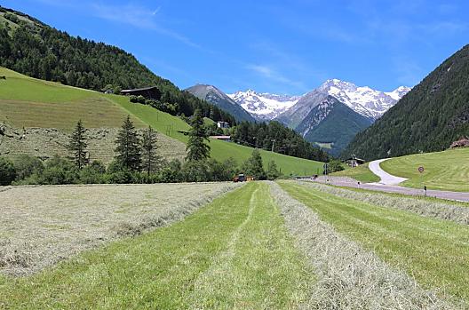 Stillwagerhof - Seznam Photo