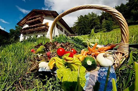 Puntschuhof - Seznam Photo