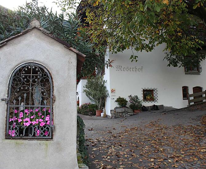 Podzimní príjezdová cesta do dvora – lahodné orechy z našeho orešáku padají na zem.