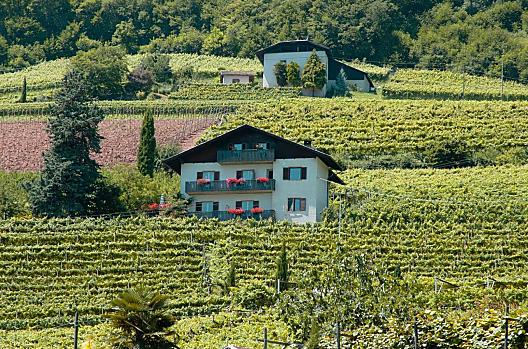 Hanspeterhof - Seznam Photo