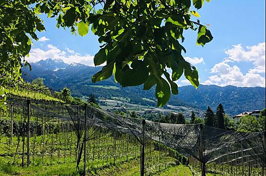Tanner-Hof - Seznam Photo