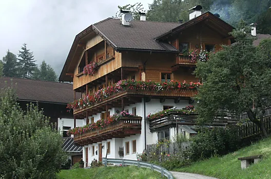 Gedrarz - Seznam Photo