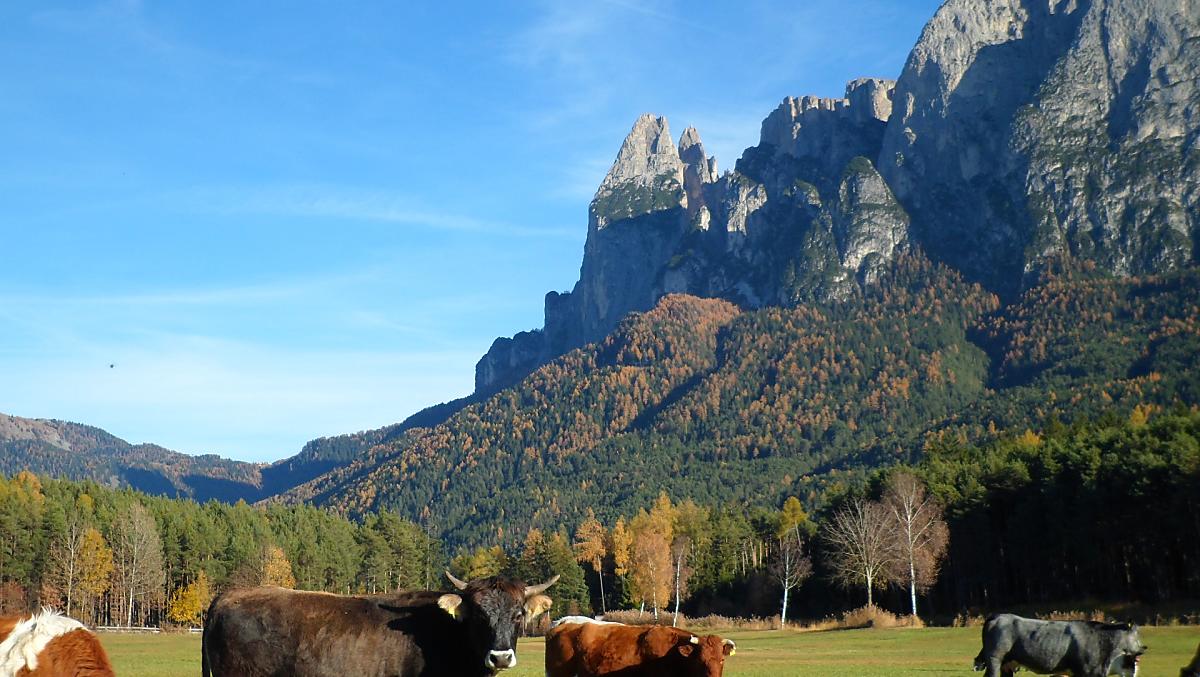 Herbst