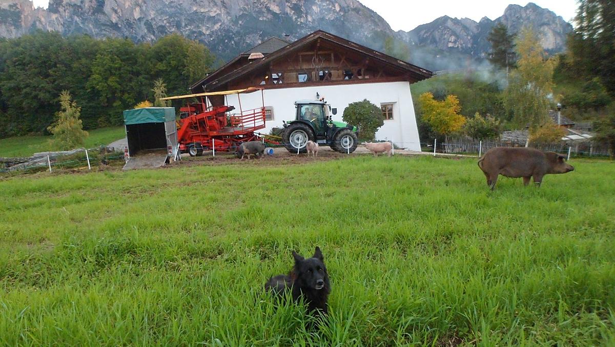 Herbst