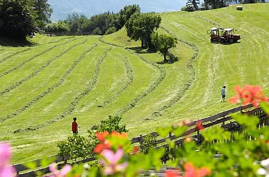 Florerhof - Seznam Photo