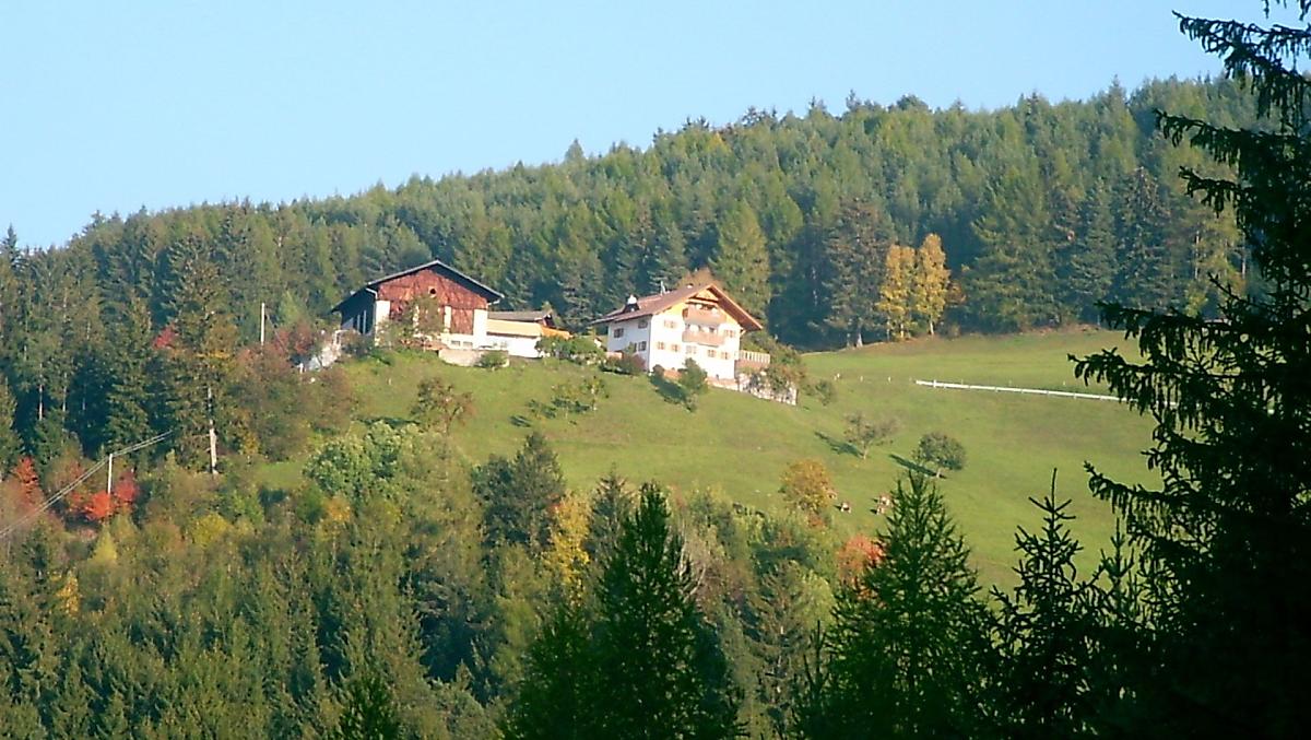 Figisterhof - Fotogalerie Photo