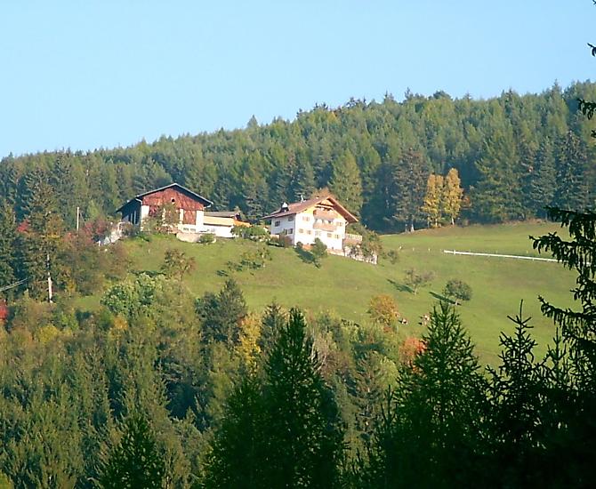Figisterhof - Fotogalerie Photo