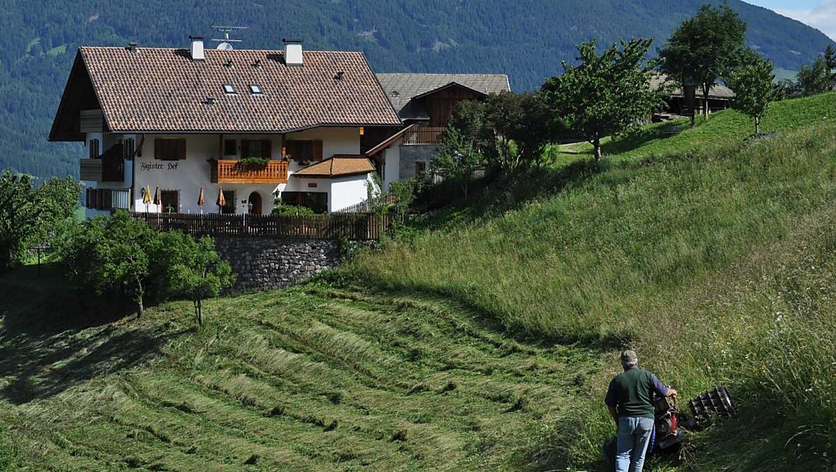 Figisterhof - Fotogalerie Photo