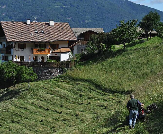 Figisterhof - Fotogalerie Photo