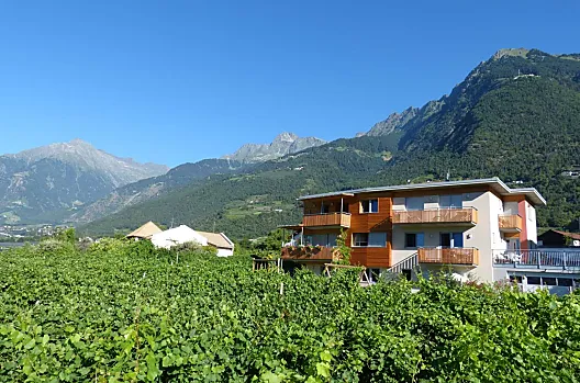 Statek Weinmesserhof na vinici