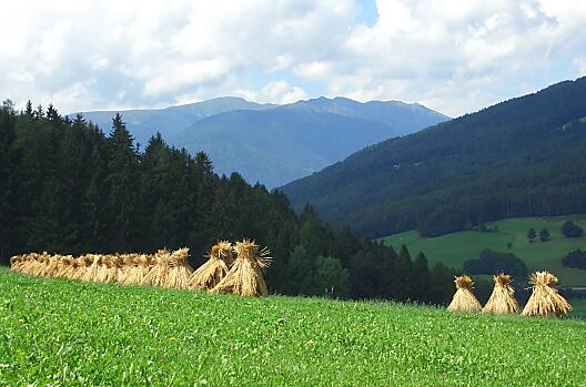 Altmessnerhof - Seznam Photo