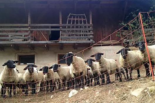 Ratzeshof - Seznam Photo