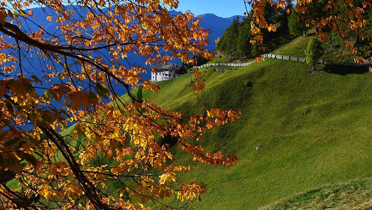 Pirchhof - Fotogalerie Photo