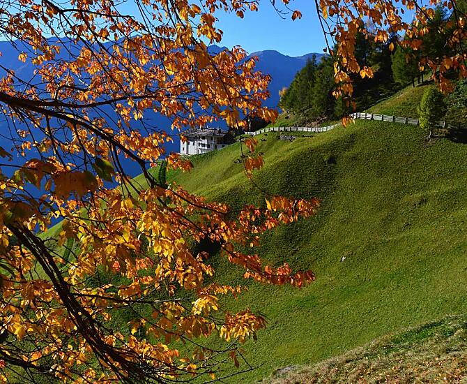 Pirchhof - Fotogalerie Photo