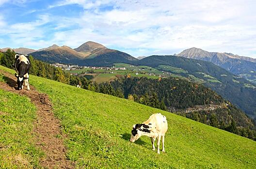 Anratterhof - Seznam Photo