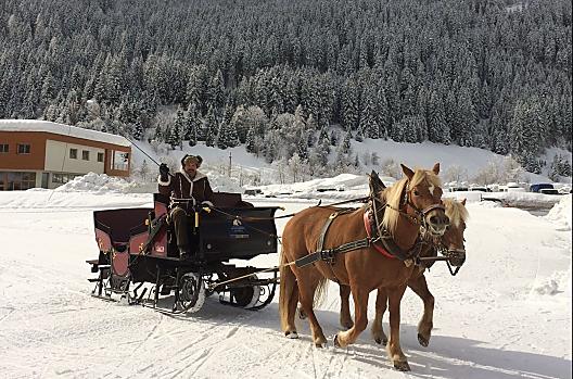 Jízda na saních tažených konmi s kocím Lorenzem zasneženým údolím Ridnaun