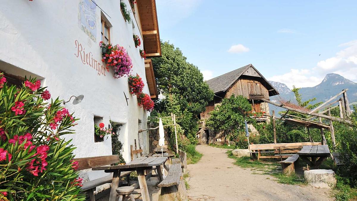 Rielinger-Hof - Fotogalerie Photo