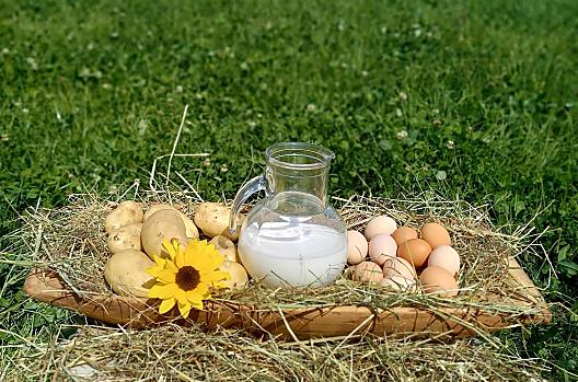 Mléko, vejce a brambory dostanete u nás na farmě.