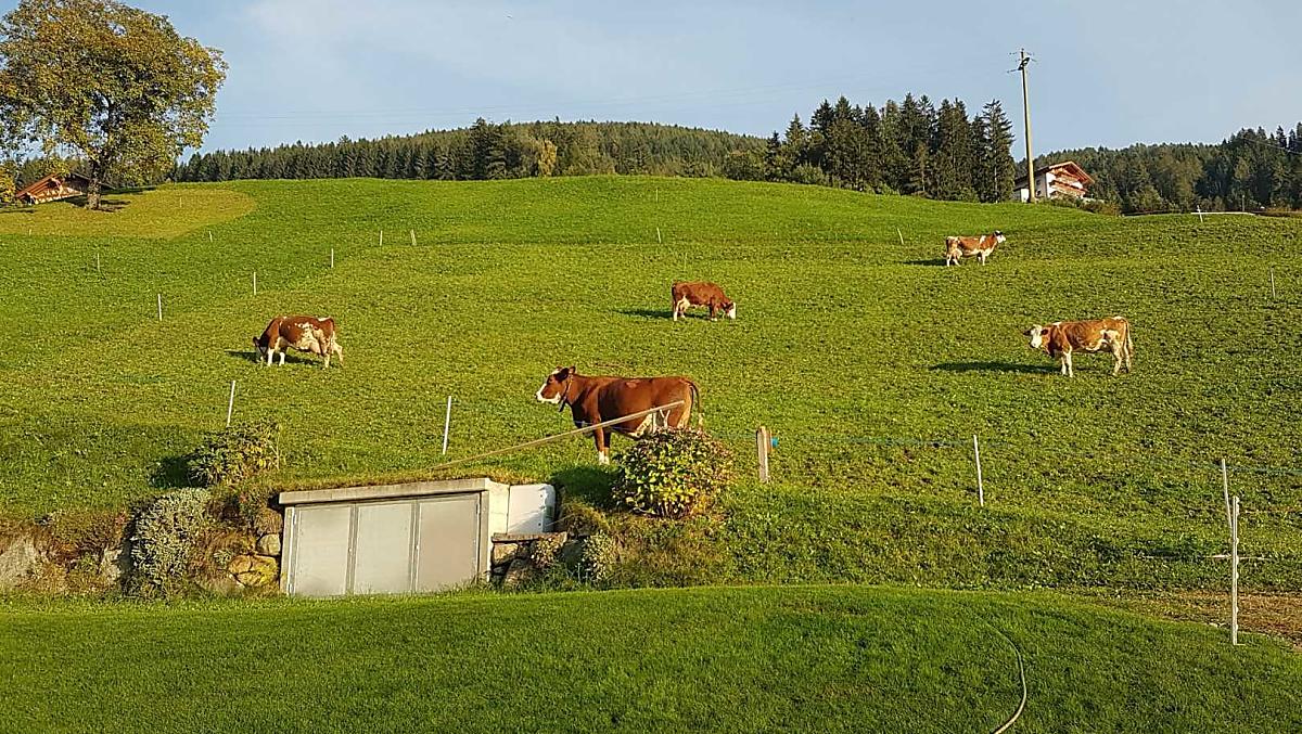 Wegerhof - Fotogalerie Photo