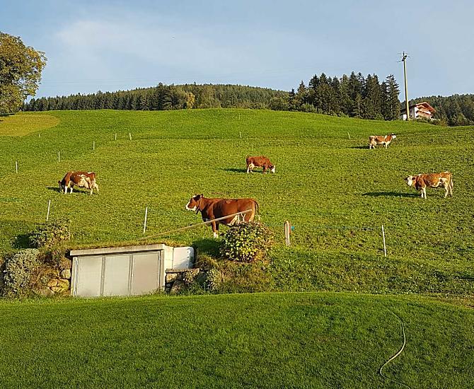 Wegerhof - Fotogalerie Photo