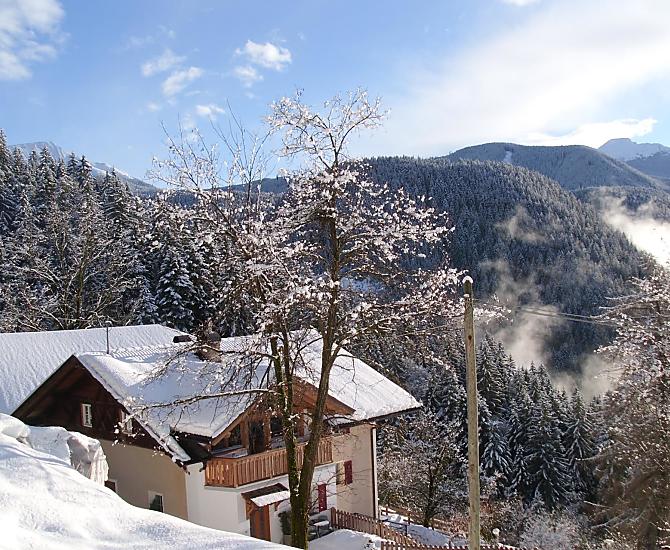 Thalerhof - Fotogalerie Photo