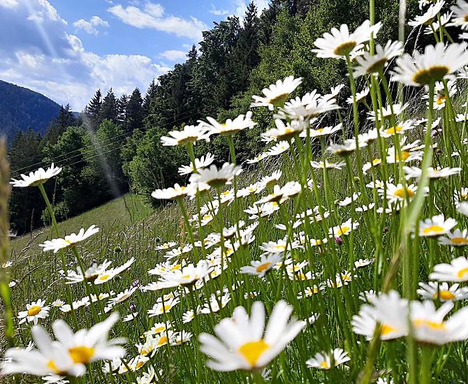 Thalerhof - Fotogalerie Photo