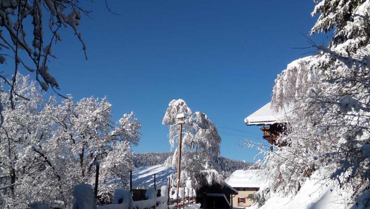 Hluboce zasnežená príjezdová cesta na Thalerhof