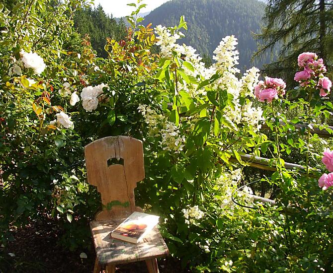 Thalerhof - Fotogalerie Photo
