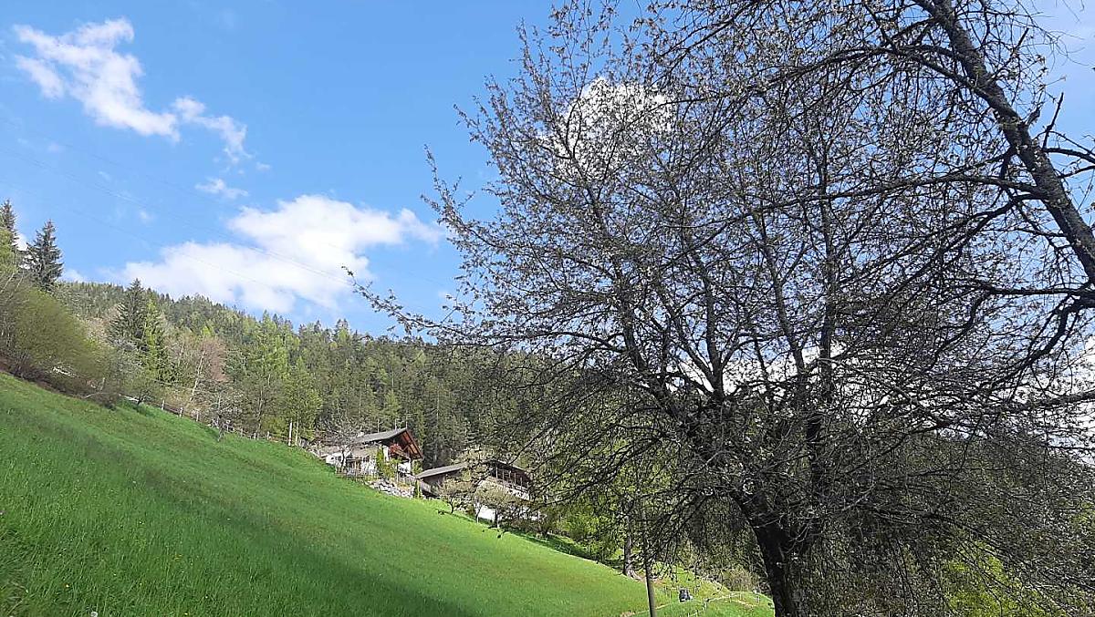 Thalerhof - Fotogalerie Photo