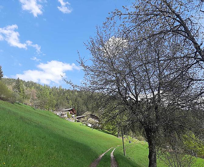 Thalerhof - Fotogalerie Photo